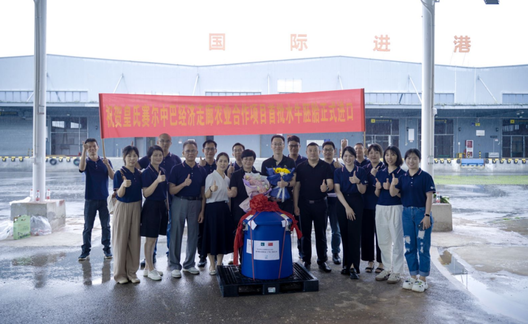 重磅！全國首批5000枚進(jìn)口巴基斯坦優(yōu)質(zhì)奶水牛胚胎入境，第一時(shí)間落戶皇氏集團(tuán)投入奶水牛改良繁育生產(chǎn)